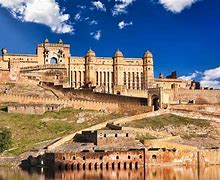 Image result for Amer Fort Old Wall Flower