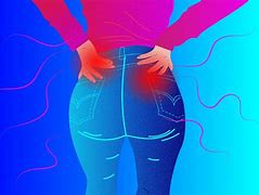 Image result for Buttock Nerves