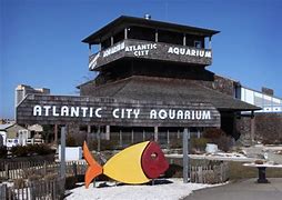 Image result for Atlantic Aquarium Bloop