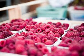 Image result for Organic Raspberry