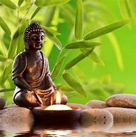 Image result for Real Buddha