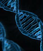 Image result for DNA Double Helix Wallpaper