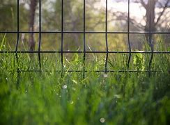 Image result for Metal Roofing Fence with Hog Wire