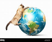 Image result for Motion Cat Wrld