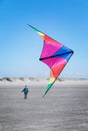 Image result for Flying Beach Kite for Peopel