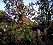 Image result for Disney Tarzan Treehouse