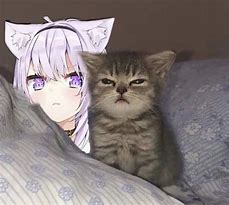 Image result for Neko Okayu