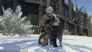 Image result for NFR Snow Owl