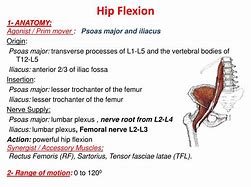 Image result for Hip Flexion 45 Degrees