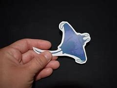 Image result for Manta Ray Co