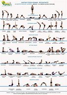 Image result for Yoga Asanas for Beginners