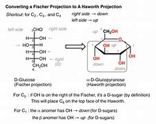 Image result for Glucose Fisher