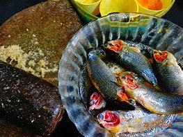 Image result for Koi Fish Recipe