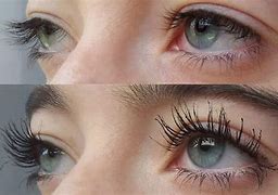 Image result for Eyelash Crust