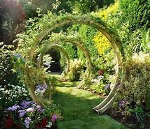 Image result for Flower Circle Arch