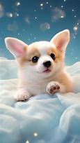 Image result for Adorable Baby Corgi