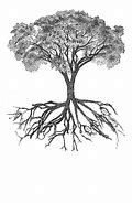 Image result for Tree and Roots Diagram