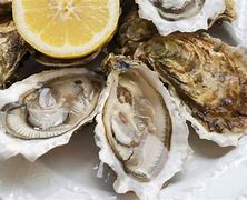 Image result for Oyster Roast