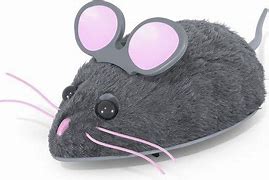 Image result for Cat Toy Mouse Chase