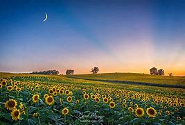 Image result for Kansas Nature