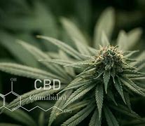 Image result for CBD Map Poster