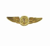 Image result for Pilot Aircrew Wings