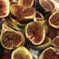 Image result for Fig Tree Diseases