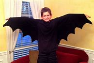 Image result for Bat Wings Costume