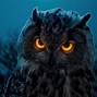 Image result for Owl HD