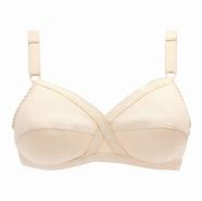 Image result for Tassled Bra