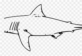 Image result for Bull Shark Clip Art