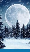 Image result for Winter Moelons