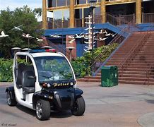 Image result for Disneyland Police