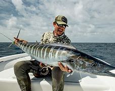 Image result for Fishing WHA Hoo Fish