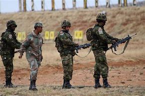 Image result for SA Army Combat Pictures