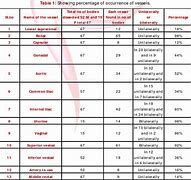 Image result for Ureter Blood Supply