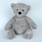 Image result for Charlie Bear Teddy