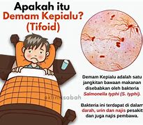 Image result for Demam Kepialu Berjangkit