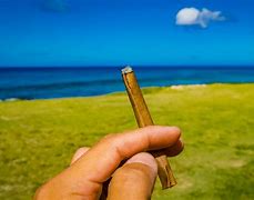 Image result for Difference Between Blunt and Joint