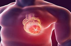 Image result for Heart for Cancer