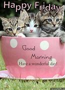 Image result for Good Morning Cat Friday