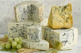 Image result for Lunchly Moldy Cheese