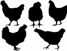 Image result for Chicken Silhouette