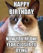 Image result for Hapi Burfday Grumpy Frog