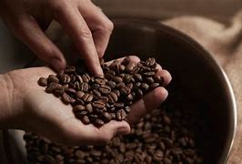 Image result for Coffee Beans Product