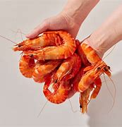 Image result for Prawn Drill Arm