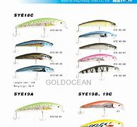 Image result for Flat Tail Fish Lure Plastic