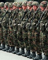 Image result for Swiss Air Force Uniform