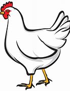 Image result for Chicken Drawing Jpg