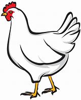 Image result for Ta Da Chicken Graphic Design